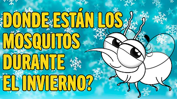 ¿A los mosquitos les gusta el aire acondicionado?