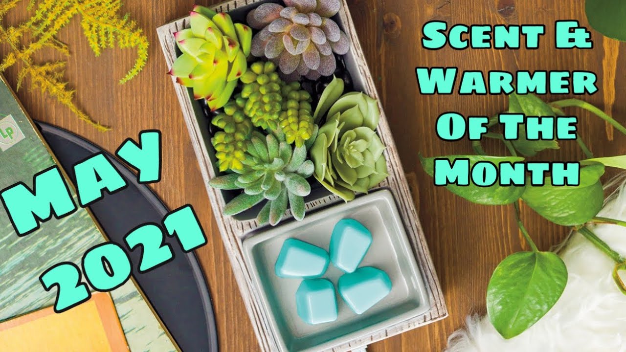 May 21 Scent Warmer Of The Month Youtube