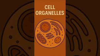 Cell organelles 😍👀 || Diagram || #cell #biology #music #song #trending