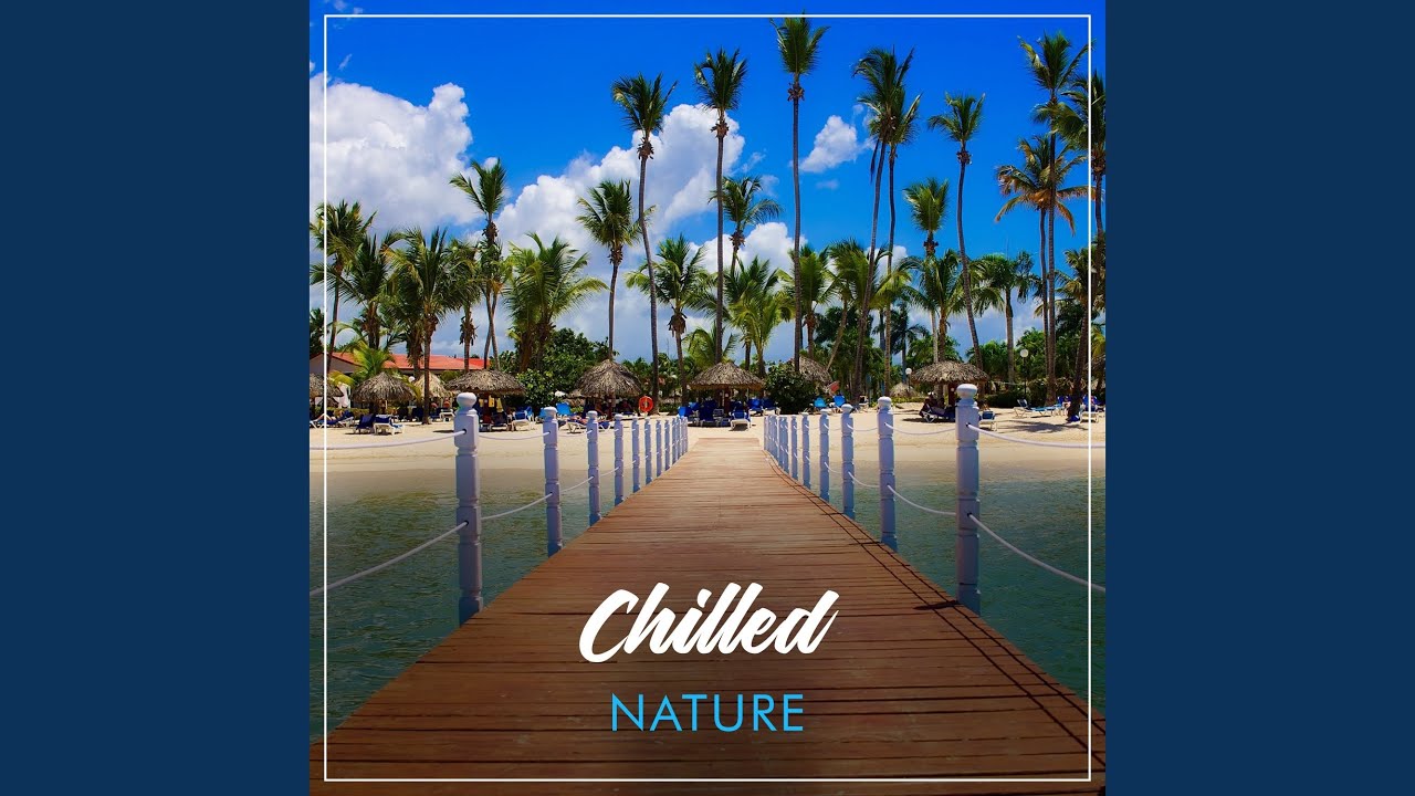 High Tides - YouTube