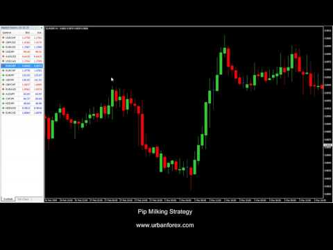 Urban forex review