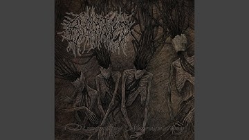 Intracellular Disconformity