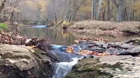 Peace Like a River