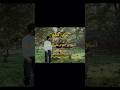 بوی گندم (راوی ، تامی) #رپفارسی #هیپ_هاپ #hiphop #gorgan#iran #producer #freestyle