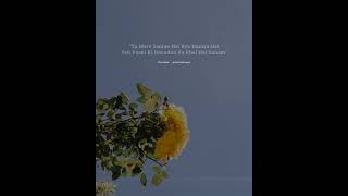 Jaana - Whatsappstatus Stebin Ben Tu Mere Samne Hai Kya Nazara Hai Love Status