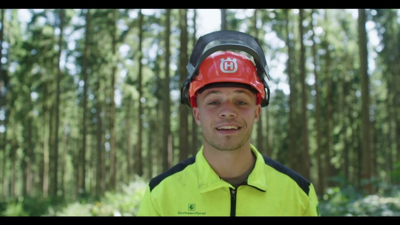 Forstwirt.in werden in Sachsen