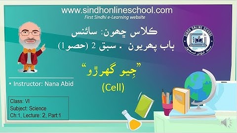Cell | Science Class 6| Chapter 1| Lecture 2 (part 1)| by Nana Abid| Sindh Online School