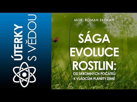 Video: Co Se Stalo S Rostlinami Během Evoluce