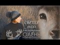Зима 2020/Готовые работы ч.1/ Свитер "Благородный олень"/ вяжуТания