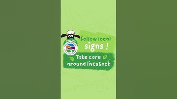 Finding Your Way: Shaun the Sheep’s Guide to The Countryside Code #shorts