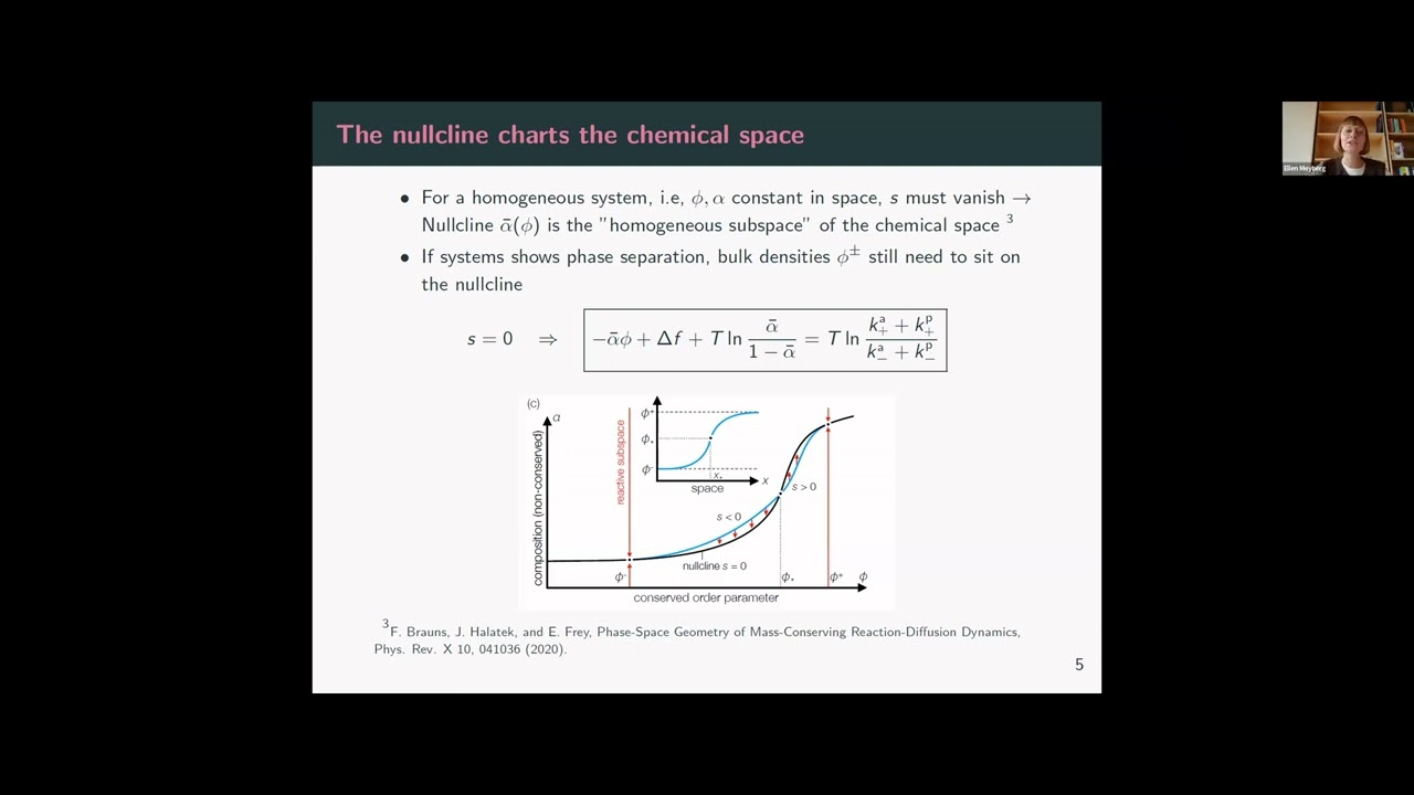 Ellen Meyberg: Impact of currents on non-equilibrium coexistence