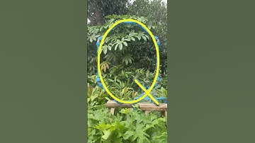 “Q”,How to Building letters A to Z with Super Piping-one letter a day! #buildingblocks #blocks