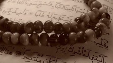 سورة الأحقاف _ محمود عبدالحكم
