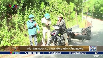 Hà Tĩnh nguy cơ cháy rừng mùa nắng nóng | VTVWDB