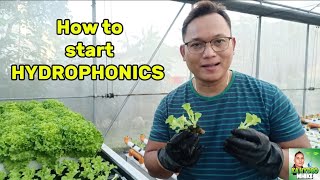 Tips and Guide How to start "HYDROPHONICS" #hydroponicsfarming #lettuce #kahydromhike