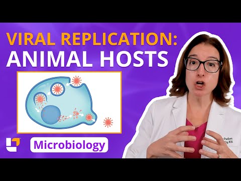 Viral Replication in
