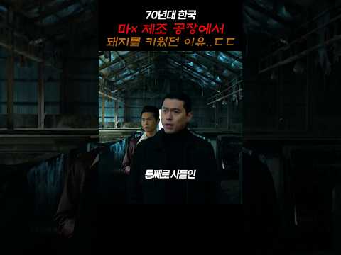 <strong>70년대</strong> 한국 마x 제조 공장에서 돼지를 키웠던 이유..ㄷㄷ