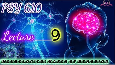 PSY610 || Lecture 9 || Neurological Bases of Behavior || Short Lecture || VU Lectures