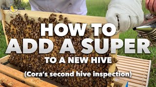 Cora's Bees  How to Add a Super to a New Hive | Inspection #2 [Beginner Beekeeper Tutorial]