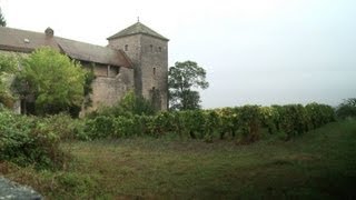 Gevrey-Chambertin: vendanges dans l'ombre chinoise