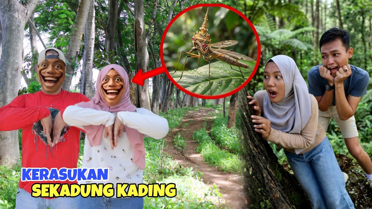 Original Title & Thumbnail