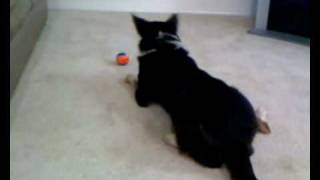 20100519_2.mov