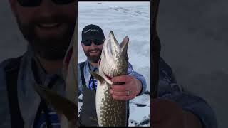 Download Lagu Light line, small hooks, blue sky, nice pike! MP3