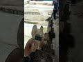 Woodworking #wood