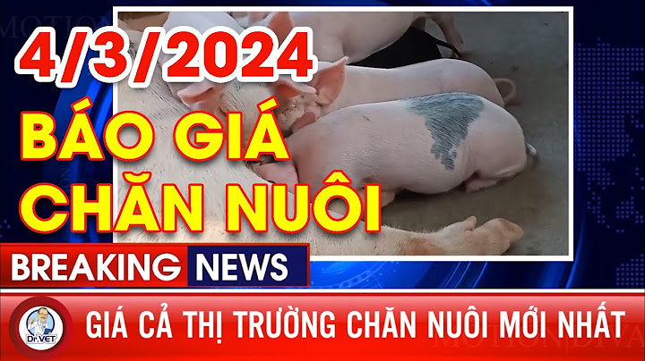 Đánh giá thị trường chăn nuôi năm 2024