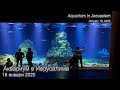 Аквариум в Иерусалиме. 18 января 2020. Aquarium in Jerusalem. January 18, 2020