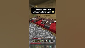 can’t trust minecraft villagers