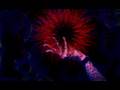 LTFE trailer 2