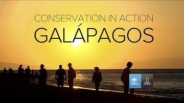 Galápagos: Conservation In Action
