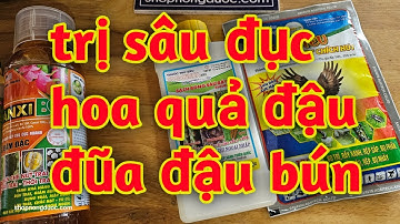 Hd231.Thuốc trừ sâu đục hoa quả đậu đũa đậu bún