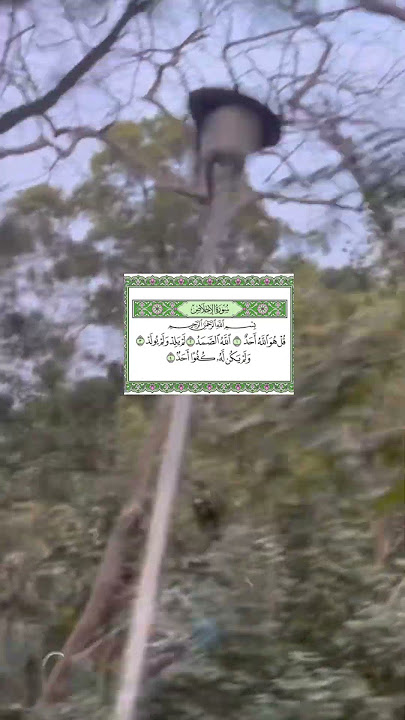 #سورة_الإخلاص #fypviralシ #masyaallahtabarakallah