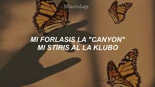 Happiness is a butterfly – Lana Del Rey | Esperanto Lyrics/Kantoteksto