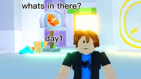 daily mailbox check (day1)