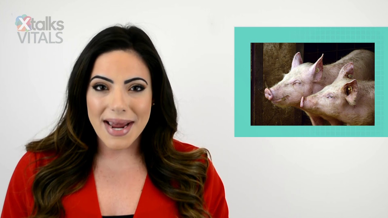 AgTech Innovations Feeding the Next Generation