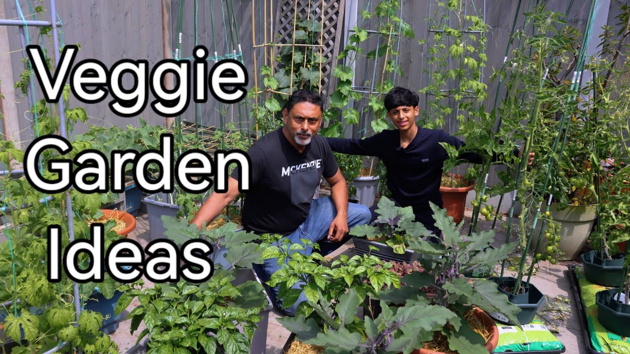 Что мы сажали в июне! Идеи шпалер для вертикального озеленения