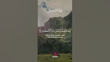 استمع لتلاوة تهدئ القلب وتريح النفس بصوت | عبدالله بصفر |