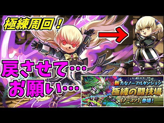 極練の闘技場】シャントット×冴木~これでもっと周回頑張れる