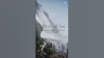 استمع الى تلاوة ناصر القطامي الهادئة