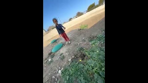 Best Fiskars 4-Claw Stand Up Weed Puller – Top Rated Manual Weeding Tool for Effortless Gardening!