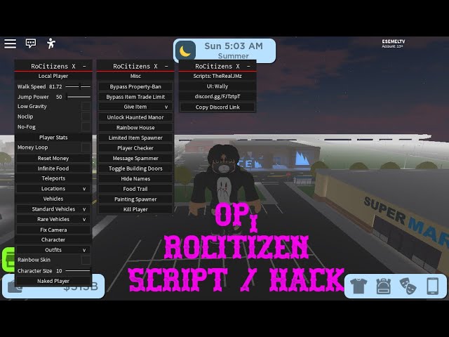 New Rocitizens Hack Script Inf Money Stats Youtube - hack roblox sfs flight simulator how to get gamepass airplanes script pastebin