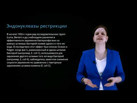 Основные ферменты генетической инженерии.  Нуклеазы