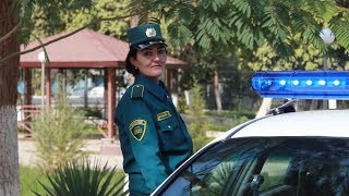 ЗЎР БЎЛДИ ОРГАН СОХАСИДА ЯНГИЛИК