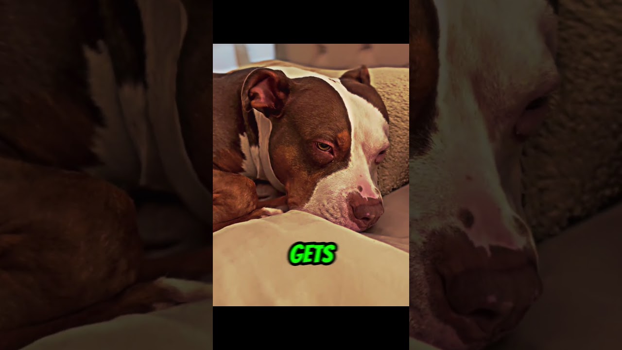 SQL Select Rows With No Match Between Two Tables By Sem - YouTube Auto PHP Script