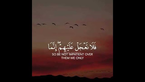 فَلَا تَعْجَلْ عَلَيْهِمْ ۖ إِنَّمَا نَعُدُّ لَهُمْ عَدًّا .. سورة مريم .. عبدالرحمن مسعد