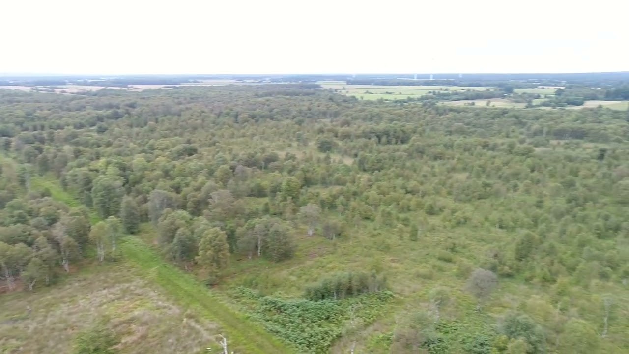 Rundblick auf das Wilde Moor in Osterrönfeld