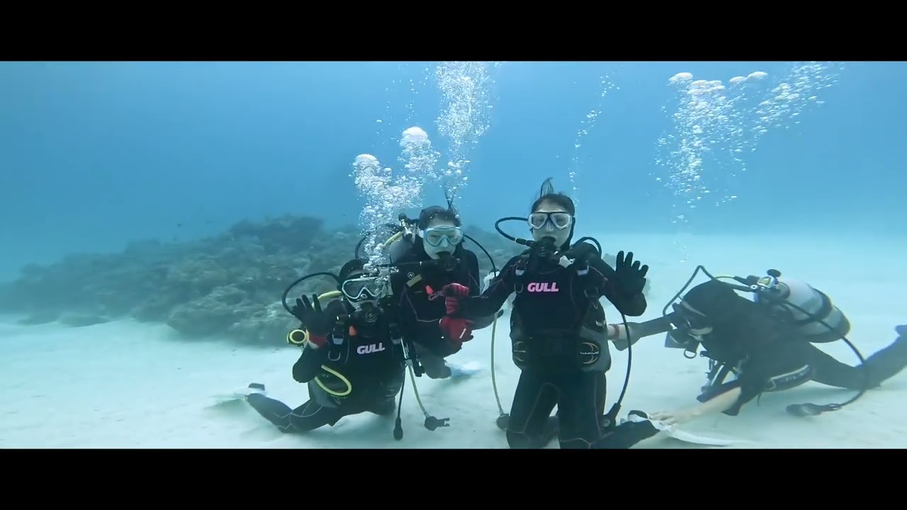 2026.03.05 黒島ダイビング！ - YouTube